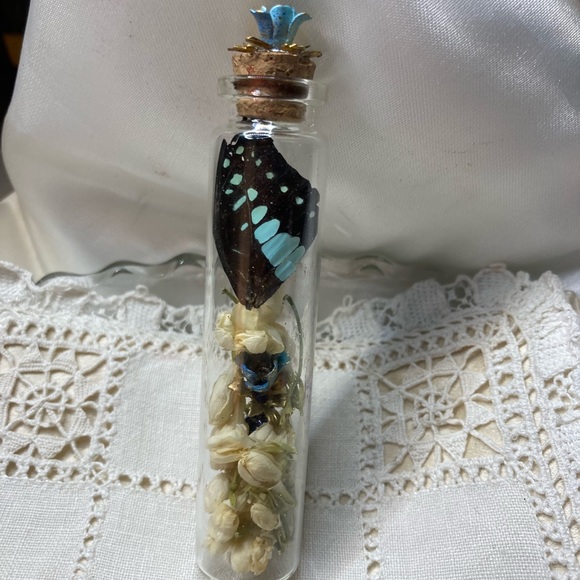 Glass curiosity jars holding beautiful ephemera - Picture 9 of 14